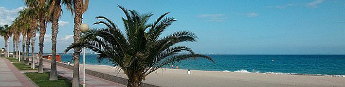 img_index